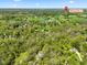 Overhead view showcasing the property's location in Mooresville, IN, near lush greenery and water features at 6780 E Woodland Ct, Mooresville, IN 46158