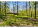 Picturesque backyard with mature trees and green grass, featuring a house and shed, offering a serene outdoor setting at 6780 E Woodland Ct, Mooresville, IN 46158