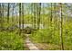 Secluded home with a charming pathway through a lush, green forest leading to the front door at 6780 E Woodland Ct, Mooresville, IN 46158