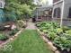 Backyard landscaping featuring patio, lush hostas, gravel path, and decorative bird bath at 701 E Main St, Westfield, IN 46074