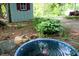 Charming backyard featuring a small garden pond, shed, and lush greenery for a relaxing outdoor space at 701 E Main St, Westfield, IN 46074
