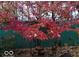 Beautiful backyard featuring a red-leaf tree and serene garden art at 701 E Main St, Westfield, IN 46074