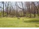 View of the lush backyard of this property with mature trees and a creek in the background at 701 E Main St, Westfield, IN 46074