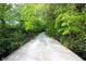 Scenic view of the gravel road leading over a bridge with red and black railings and lush trees overhead at 701 E Main St, Westfield, IN 46074