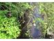A tranquil creek surrounded by vibrant green foliage creating a peaceful natural setting at 701 E Main St, Westfield, IN 46074