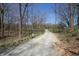 Gravel driveway extends through a wooded property at 701 E Main St, Westfield, IN 46074