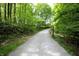 Gravel driveway winding through mature trees leads to the property, enhanced by green foliage at 701 E Main St, Westfield, IN 46074