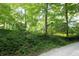 A view of the home through mature trees with an overgrown landscape at 701 E Main St, Westfield, IN 46074