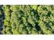 Aerial view of the property surrounded by lush green trees, offering a private and serene setting at 7249 Tuliptree Trl, Indianapolis, IN 46256