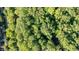 Aerial view highlighting property lines within a lush green landscape, showcasing the lot's boundaries at 7249 Tuliptree Trl, Indianapolis, IN 46256
