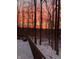 Snowy backyard scene at sunset, surrounded by trees, with a partially visible fence at 7249 Tuliptree Trl, Indianapolis, IN 46256
