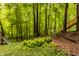 Lush backyard features mature trees, ferns, and a wooden staircase ascending into the woods at 7249 Tuliptree Trl, Indianapolis, IN 46256