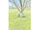 Scenic backyard featuring a mature tree surrounded by blooming daffodils in spring at 2303 Cole Wood Ct, Indianapolis, IN 46239
