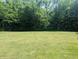Well-maintained backyard featuring a large green lawn and mature trees at 8017 Dogwood Ct, Plainfield, IN 46168