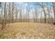 Cleared land surrounded by trees, offering privacy and potential for outdoor activities and landscaping at 8503 Bean Blossom Rd, Trafalgar, IN 46181