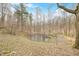 Picturesque pond surrounded by trees and natural foliage, creating a serene and private setting on the property at 8503 Bean Blossom Rd, Trafalgar, IN 46181