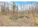 Scenic view of a tranquil pond amidst lush greenery and mature trees, adding natural beauty to the property at 8503 Bean Blossom Rd, Trafalgar, IN 46181