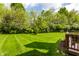 Lush green backyard view with a small tree centered, a wooden deck and vibrant, mature trees surrounding it at 9338 Eden Woods Ct, Indianapolis, IN 46260