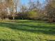 A green backyard with mature trees creating a tranquil environment under a clear blue sky at 935 Fry Rd, Greenwood, IN 46142