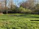 Expansive green backyard featuring lush grass, mature trees, and a serene natural setting at 935 Fry Rd, Greenwood, IN 46142