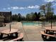 Outdoor community pool surrounded by lounge chairs and picnic tables against a backdrop of green trees at 12088 Everwood Cir, Noblesville, IN 46060