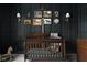 Stylish Bedroom with dark walls, a crib, and charming decor at 14872 Autumn View Way, Fishers, IN 46037