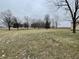 Expansive yard with mature trees, offering a serene and spacious outdoor environment at 2365 E 850 N, Lebanon, IN 46052