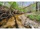A peaceful creek flowing through a rocky bed surrounded by lush greenery and trees at 3718 S County Road 101 E, Clayton, IN 46118