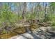 Serene creek flowing gently through a wooded area, showcasing natural beauty at 3718 S County Road 101 E, Clayton, IN 46118