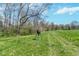Picturesque field with lush greenery and mature trees, offering serene views and privacy at 3718 S County Road 101 E, Clayton, IN 46118