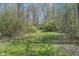 A tranquil, tree-lined path showcases the property's natural beauty and peaceful ambiance at 3718 S County Road 101 E, Clayton, IN 46118
