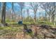 A serene outdoor setting with a chair and logs on a wooded lot at 3718 S County Road 101 E, Clayton, IN 46118