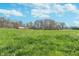 View of grassy meadow leading to barn with surrounding trees on the property at 3718 S County Road 101 E, Clayton, IN 46118