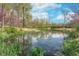 Picturesque pond surrounded by lush greenery and trees, reflecting the blue sky at 3718 S County Road 101 E, Clayton, IN 46118