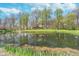 Scenic view of pond reflecting the property and mature trees under a partly cloudy sky at 3718 S County Road 101 E, Clayton, IN 46118