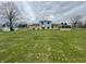 Large backyard with green lawn, dandelions and the back of the light blue and tan home at 1387 W Furry Rd, Fountaintown, IN 46130