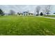 Expansive green lawn dotted with dandelions, leading up to a charming light blue and tan home at 1387 W Furry Rd, Fountaintown, IN 46130