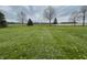 Vast green lawn with scattered dandelions, showcasing the property's open space and natural beauty at 1387 W Furry Rd, Fountaintown, IN 46130