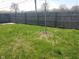 Spacious backyard featuring a young tree, enclosed by a tall wooden fence, offering a private outdoor space at 1640 Lawton Ave, Columbus, IN 47201