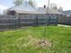 A grassy backyard with a wooden fence and a small tree at 1640 Lawton Ave, Columbus, IN 47201