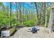 Backyard features fire pit area surrounded by lush greenery at 70 Williamsburg Ct, Zionsville, IN 46077