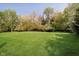 Expansive green backyard featuring meticulously mowed lawn and a lush tree line backdrop at 10752 Tallow Wood Ln, Indianapolis, IN 46236