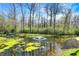 Scenic pond with a fountain, algae and lush greenery, reflecting the sky and surrounding trees for a tranquil ambiance at 13587 Kensington Pl, Carmel, IN 46032