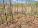 View of a home's secluded backyard through a lightly wooded area in early spring at 257 N Letterman Rd, Paragon, IN 46166