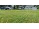Large backyard with green grass at 8017 Chiltern Dr, Indianapolis, IN 46268