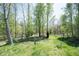 Lush backyard with mature trees creating a peaceful, green space at 11327 Guy St, Fishers, IN 46038