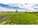 The backyard has a large, well-maintained lawn and landscaping that extends to the back of the property at 1242 Petit Verdot Dr, Westfield, IN 46074
