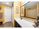 Well-lit bathroom featuring a large mirror, white sink, and elegant fixtures at 5886 N Peppereel Way, McCordsville, IN 46055