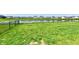Spacious backyard features lush green grass, lake view, and secure fencing at 8163 Dewberry Ln, Pendleton, IN 46064