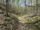 Tranquil creek flowing through a wooded area on the property, showcasing natural beauty at 8448 E Dobbs Cemetary Rd, Columbus, IN 47201
